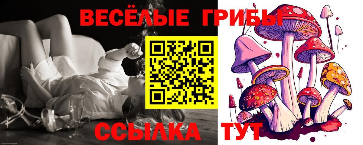 Псилоцибиновые грибы Cubensis Майский