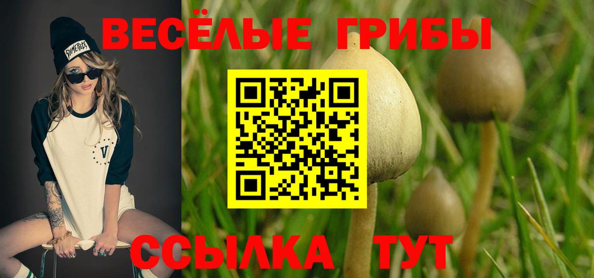 Майский  Псилоцибиновые грибы GOLDEN TEACHER  Вход с VPN 
